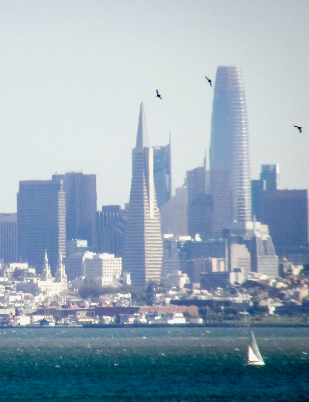 SF